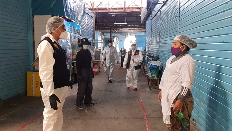 005ba2e8-c960-4d8c-b6a7-3ec0c0642be4