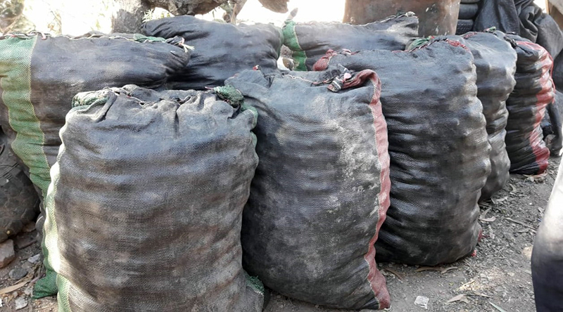 f1ed12da-6bcd-40a9-899a-fea956cf403e