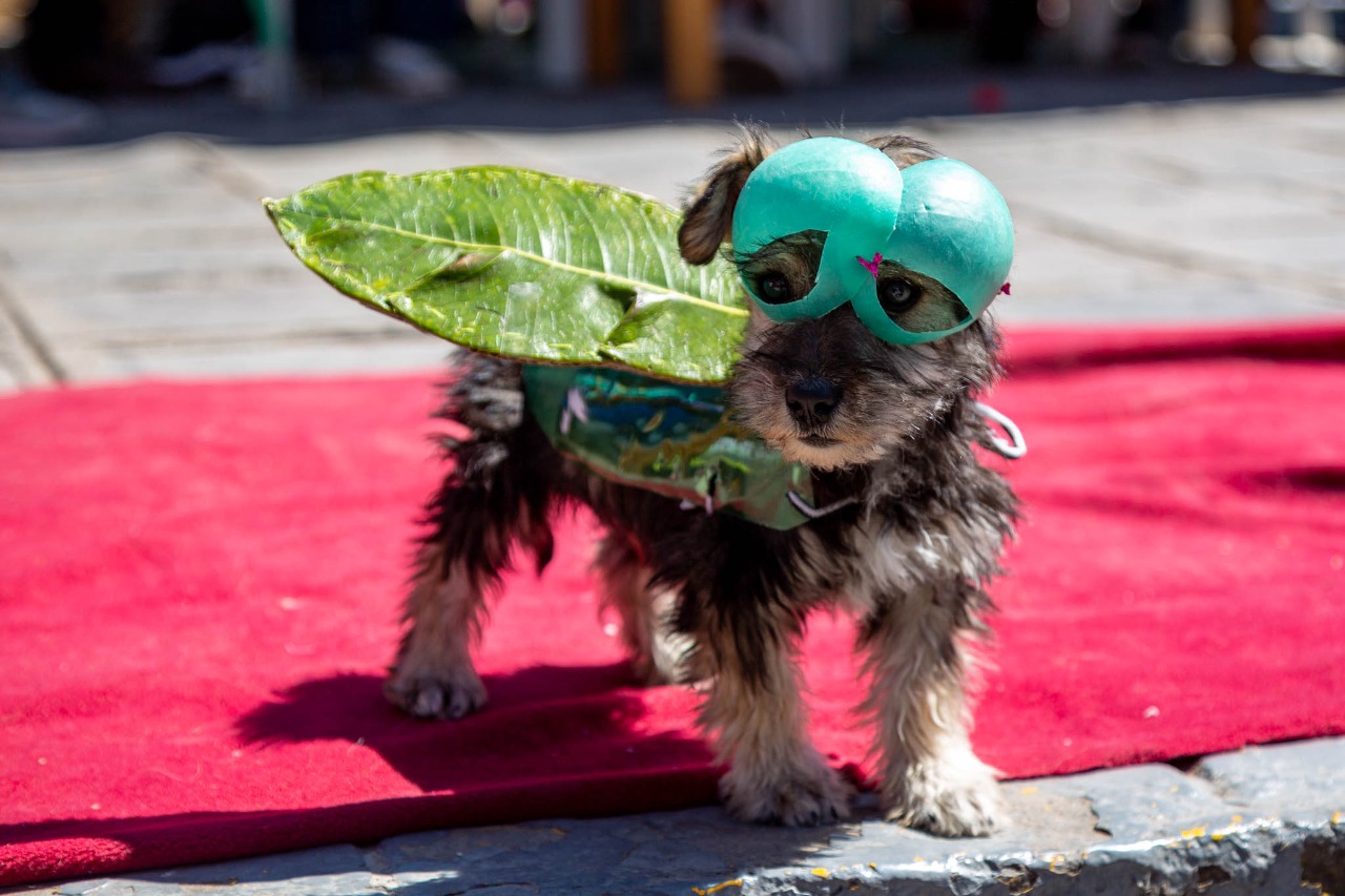 WhatsApp Image 2022-08-01 at 12.04.33 PM (1)