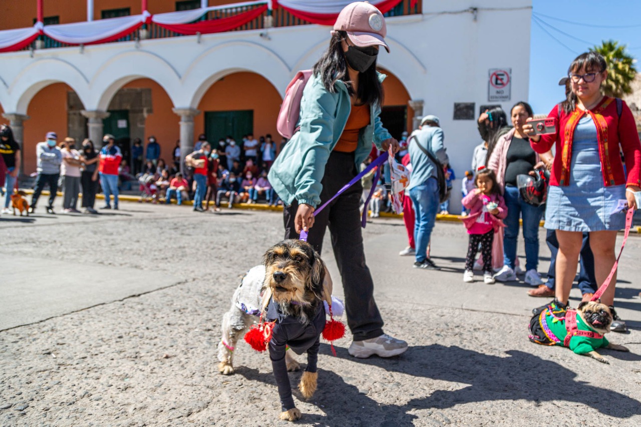 WhatsApp Image 2022-08-01 at 12.04.33 PM (3)