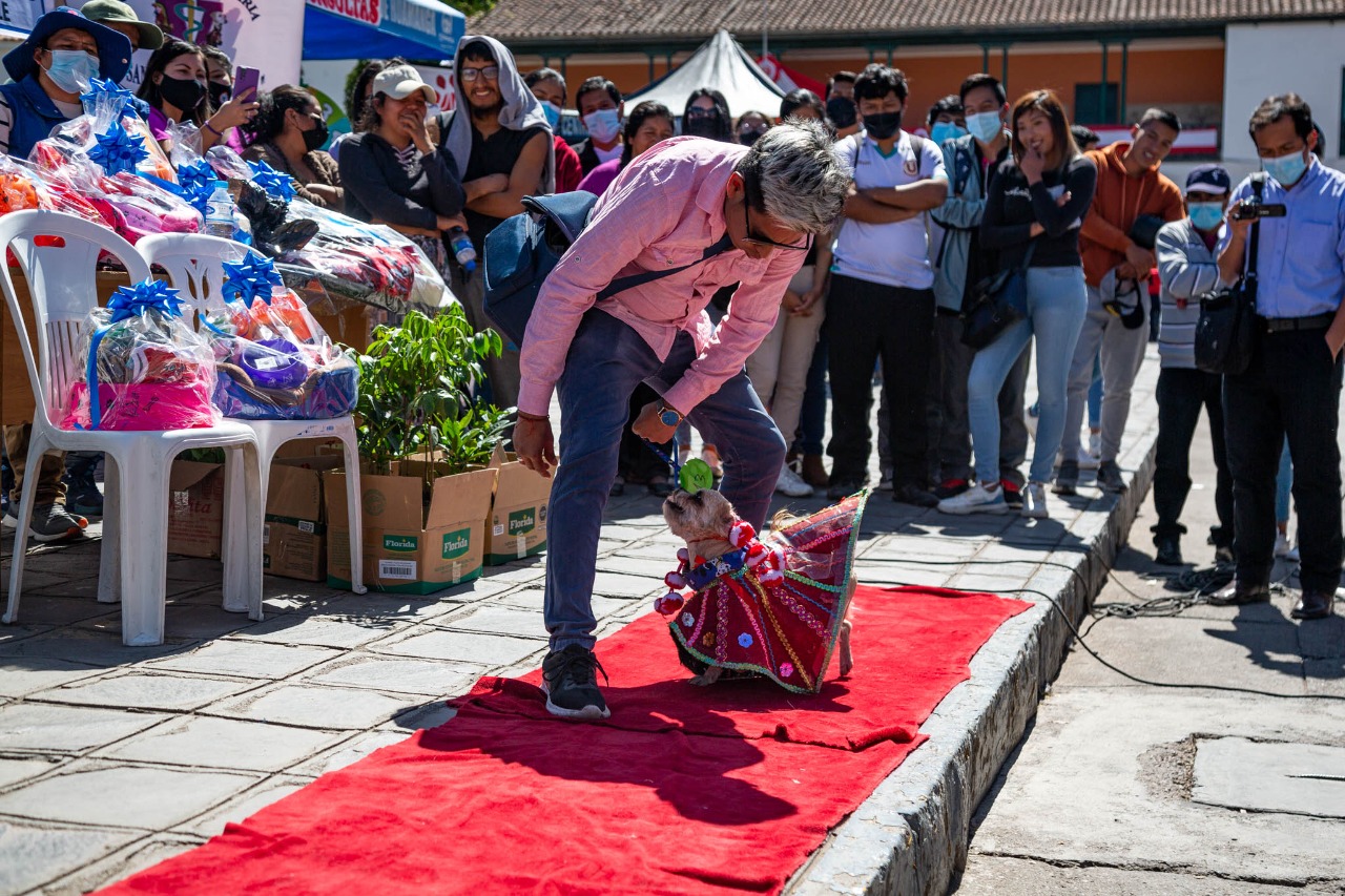 WhatsApp Image 2022-08-01 at 12.04.34 PM (1)