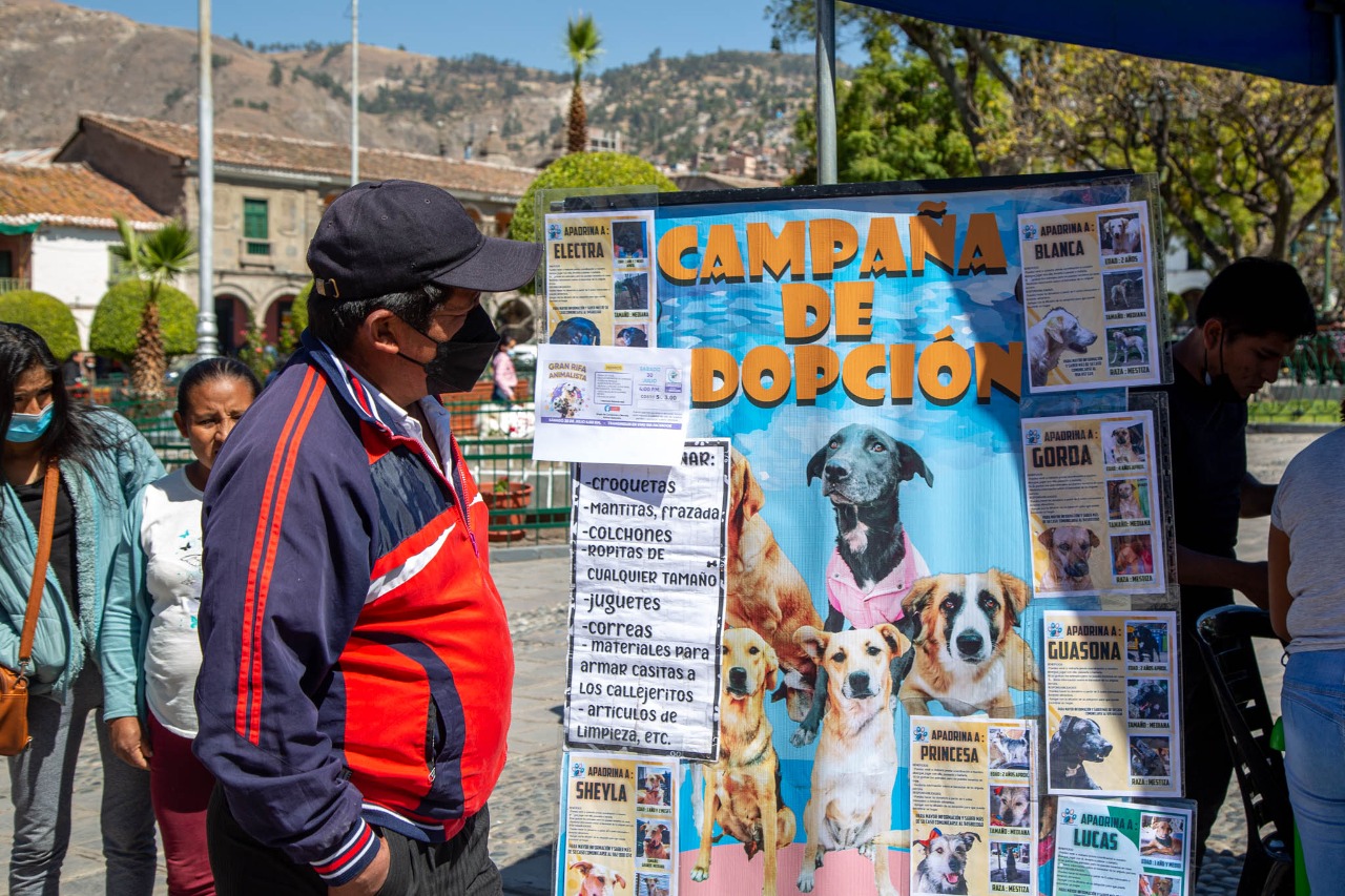 WhatsApp Image 2022-08-01 at 12.04.34 PM (2)