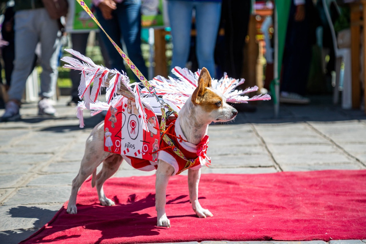 WhatsApp Image 2022-08-01 at 12.04.34 PM